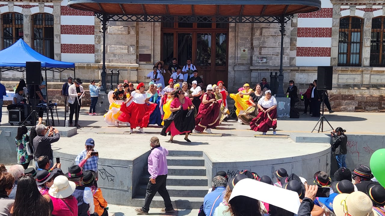 Pasacalle adultos mayores.png